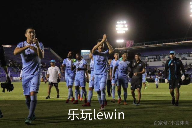 乐玩lewin团队与业务环境